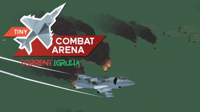 Tiny Combat Arena